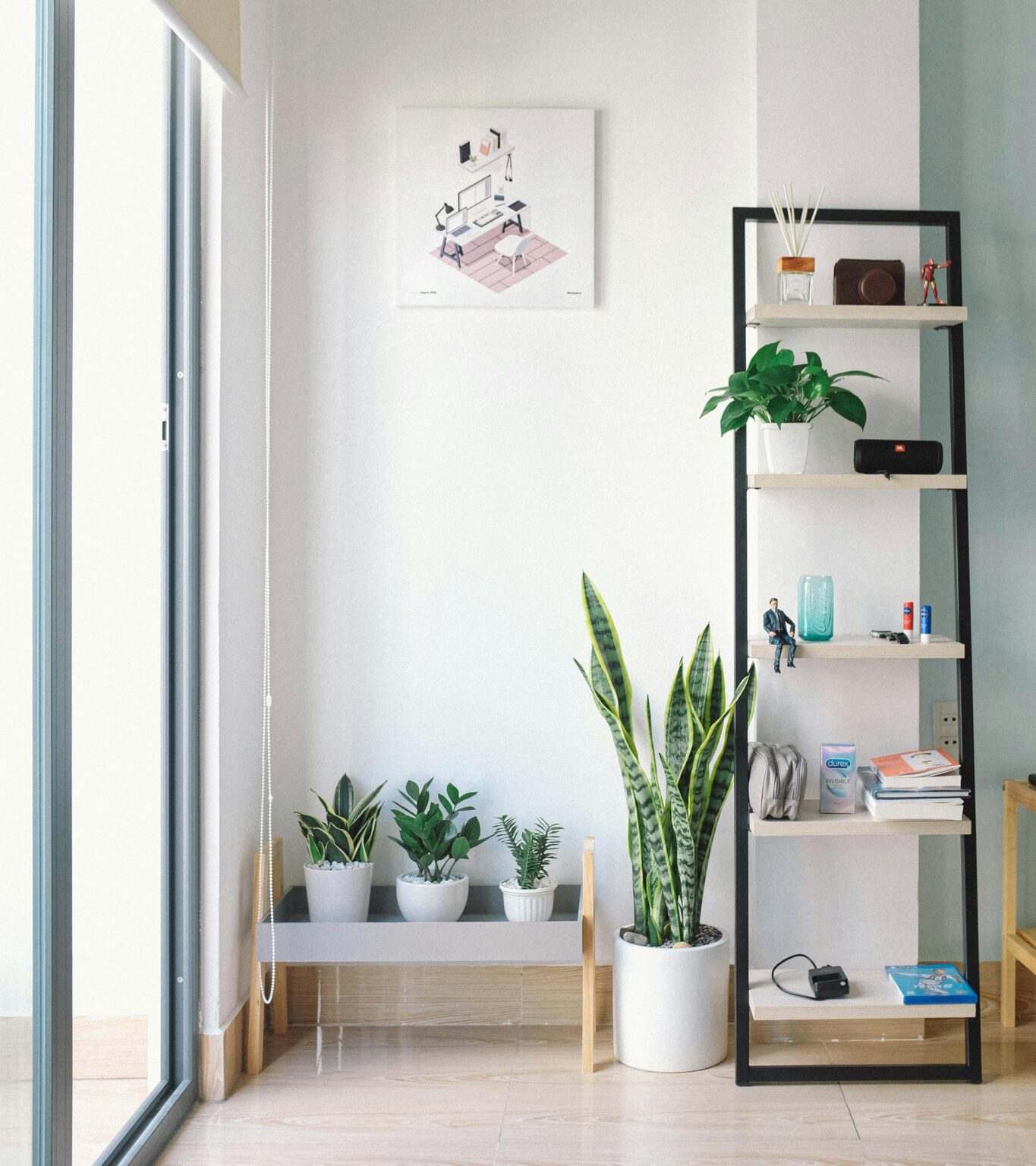 Minimalist interior design with indoor plants and open shelving