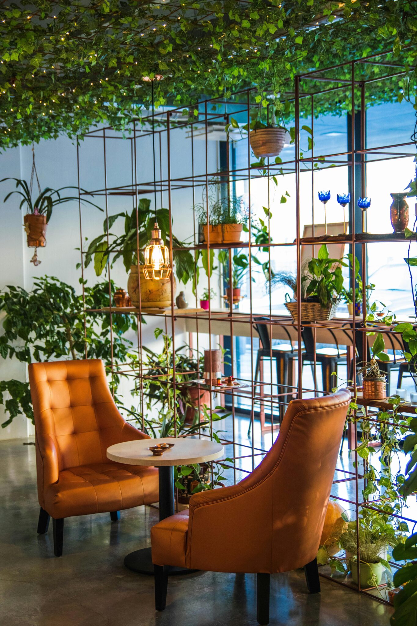 Creative workspace filled with indoor plants and natural light